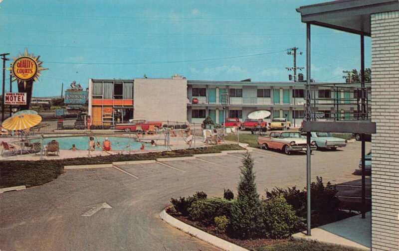 Hines Park Motel - Postcard